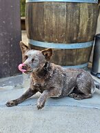 Hotel Hacienda Guadalupe