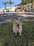 Hotel Hacienda Guadalupe