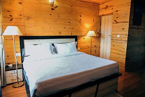 Mountain bnb hartola Uttarakhand