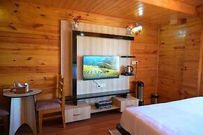 Mountain bnb hartola Uttarakhand