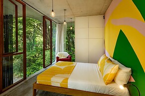 The Planchonella House - Eco Stay de Luxe