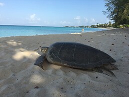 Seabreeze 8 - Luxury 4-bedroom on Seven Mile Beach