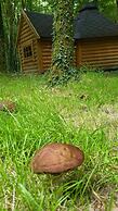 Le Domaine Insolite de Brocéliande