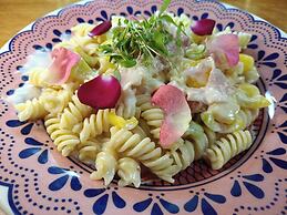 Hotel Glamping Fuerza Ancestral