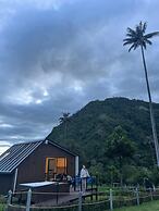 Bosques de Cocora Donde Juan B