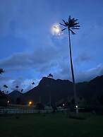 Bosques de Cocora Donde Juan B
