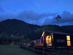 Bosques de Cocora Donde Juan B