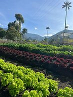 Bosques de Cocora Donde Juan B