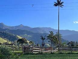 Bosques de Cocora Donde Juan B