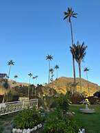 Bosques de Cocora Donde Juan B