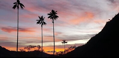 Bosques de Cocora Donde Juan B