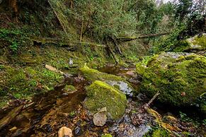 Molino Giusti Farmhouse