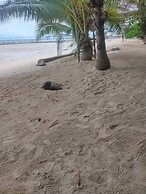 Mamatua N. Saleo Villa