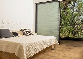 New House in Santa Fe Morelos