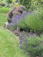Lavender Cottage at Akaroa Lavender