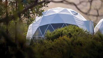 Little Beach Co. Resort