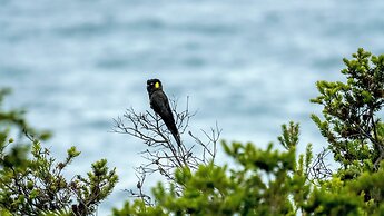 Little Beach Co. Resort