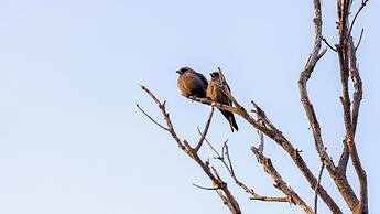 Little Beach Co. Resort