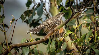 Little Beach Co. Resort