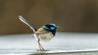 Little Beach Co. Resort