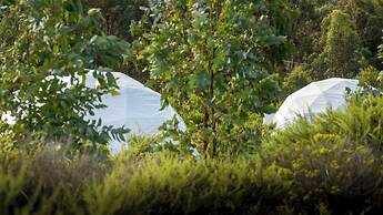 Little Beach Co. Resort