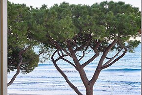 Acquamarina in Alassio