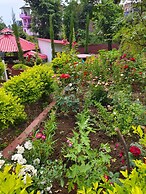 The Pines Mountain View