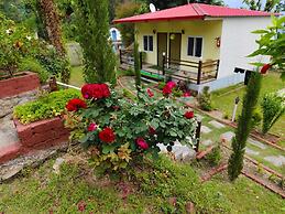 The Pines Mountain View