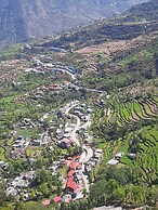 The Pines Mountain View