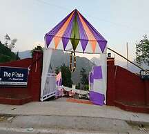 The Pines Mountain View