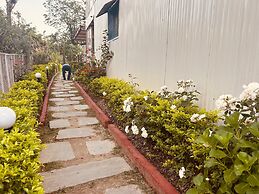 The Pines Mountain View