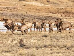 Perch Point- Hikers Dream Cabin Base