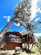 Perch Point- Hikers Dream Cabin Base