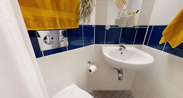 Student Only Will Wyatt Court