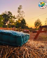 Chill Garden Experience