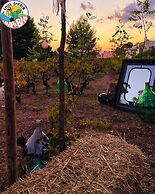 Chill Garden Experience