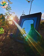 Chill Garden Experience