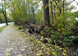 Appartement in Strausberg mit Fruhstuck Inklusive