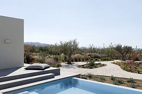 Villa Jardino Plaka Naxos