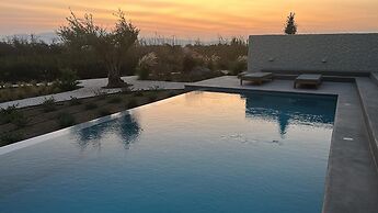 Villa Jardino Plaka Naxos