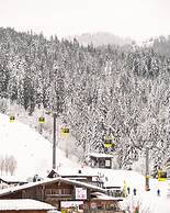 Apartment Near Doischberg ski Area