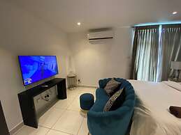 Splendid Apartments at Embassy Gardens