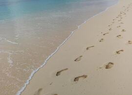 Cozy Couple's Escape