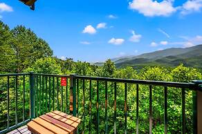 Indoor Pool Hot Tub Sleeps 4 Mountain Views