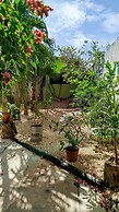 Casa Otilia - Hospedaje