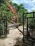 Casa Otilia - Hospedaje