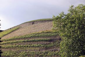 Weingut Sonnenberg