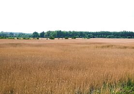 Westin Koralowa 15 Kołobrzeg - 365PAM