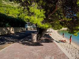 Apartmani Martinović