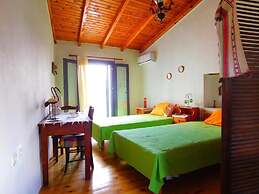 Olive Valley Traditional House